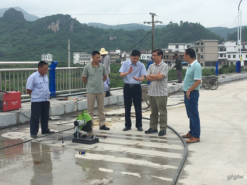 图为李飞林局长听取施工进度情况.JPG